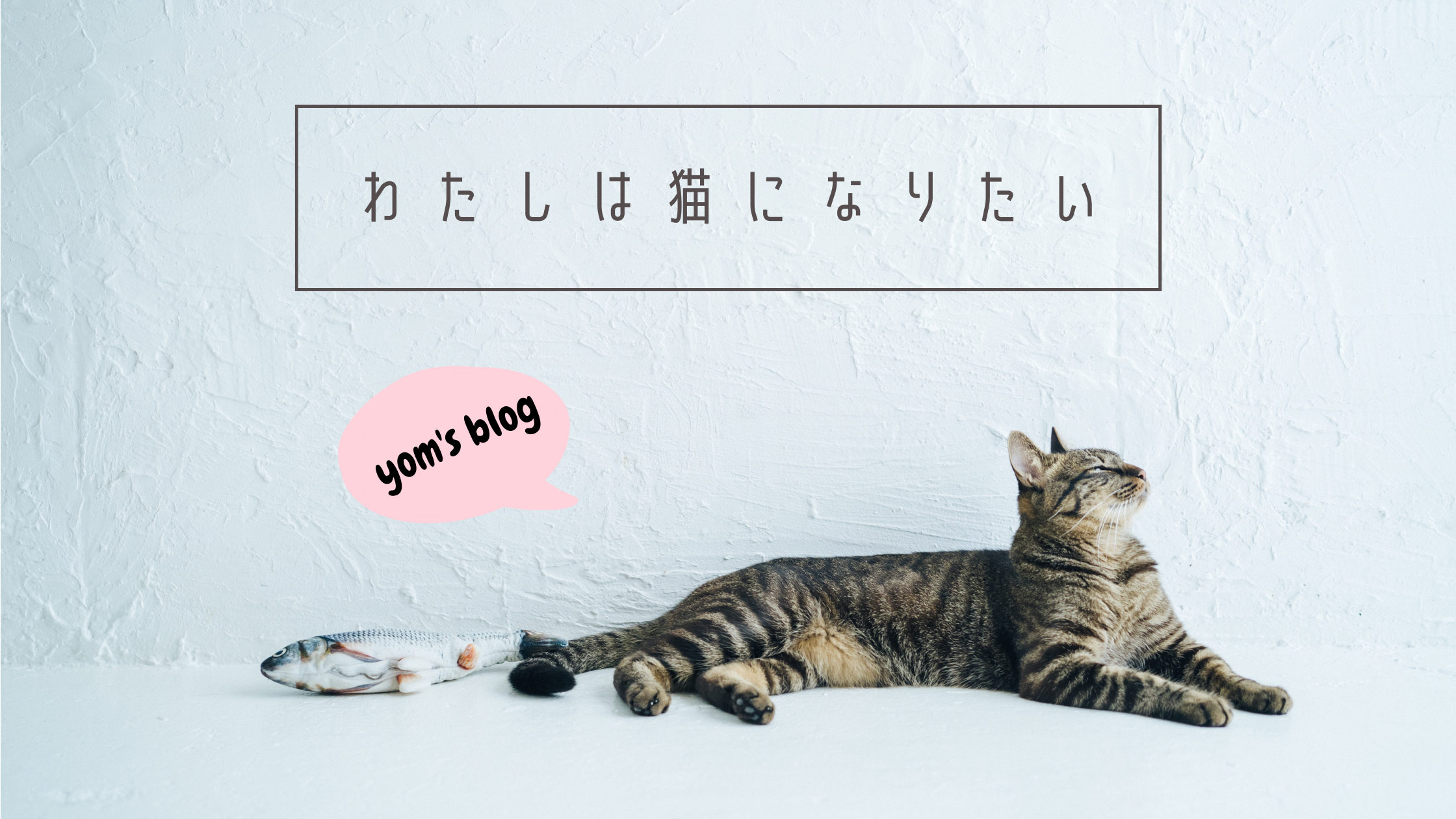 yom’s blog